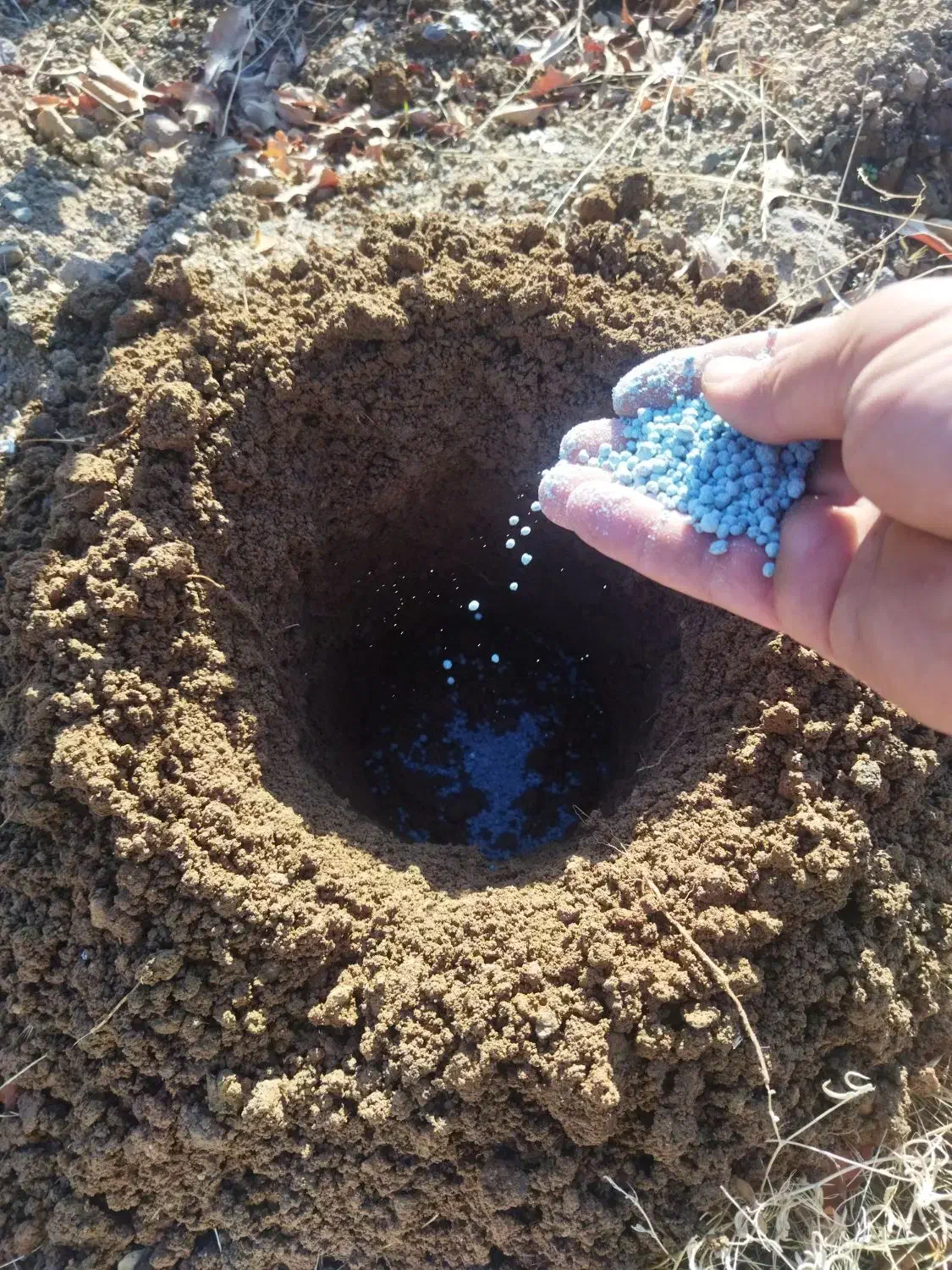 . تیلر. سم پاشی .|خدمات باغبانی و درختکاری|سنندج, |دیوار