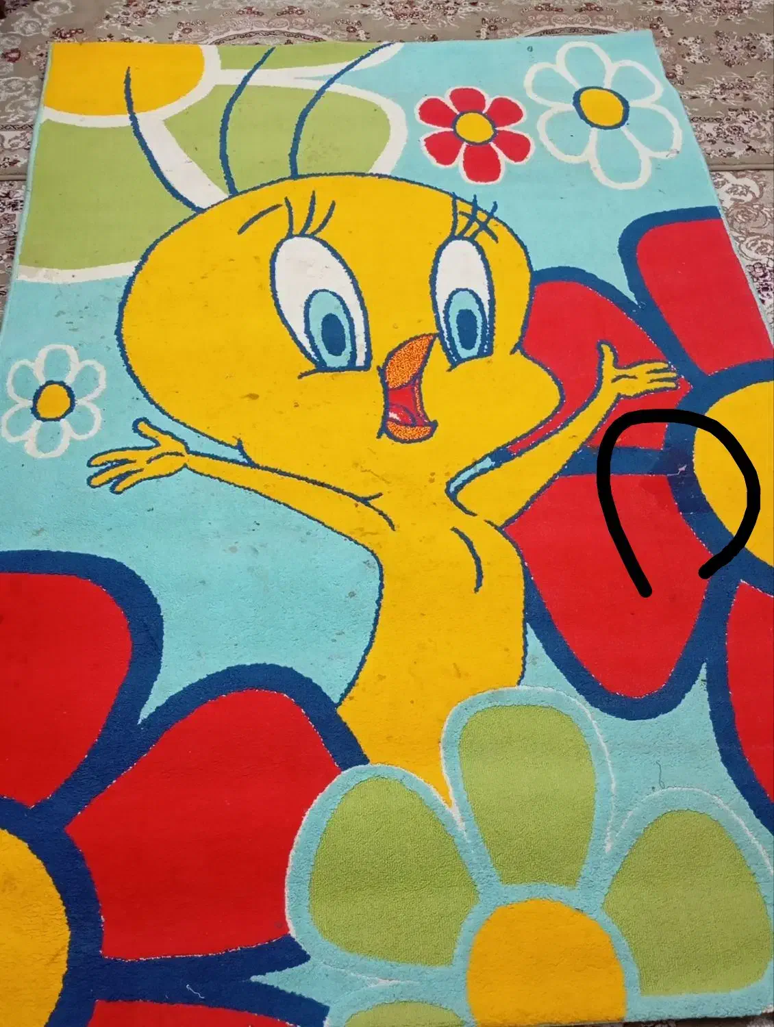 قالیچه|فرش|زاهدان, |دیوار