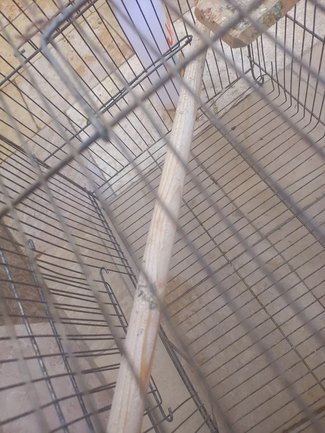 قفس|لوازم جانبی حیوانات|قم, شهرک امام حسین|دیوار