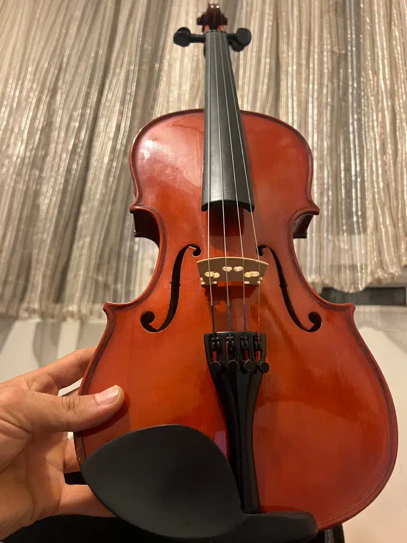 ویولن ویلن ویالون سوزوکی|ویولن|تهران, تهرانپارس شرقی|دیوار