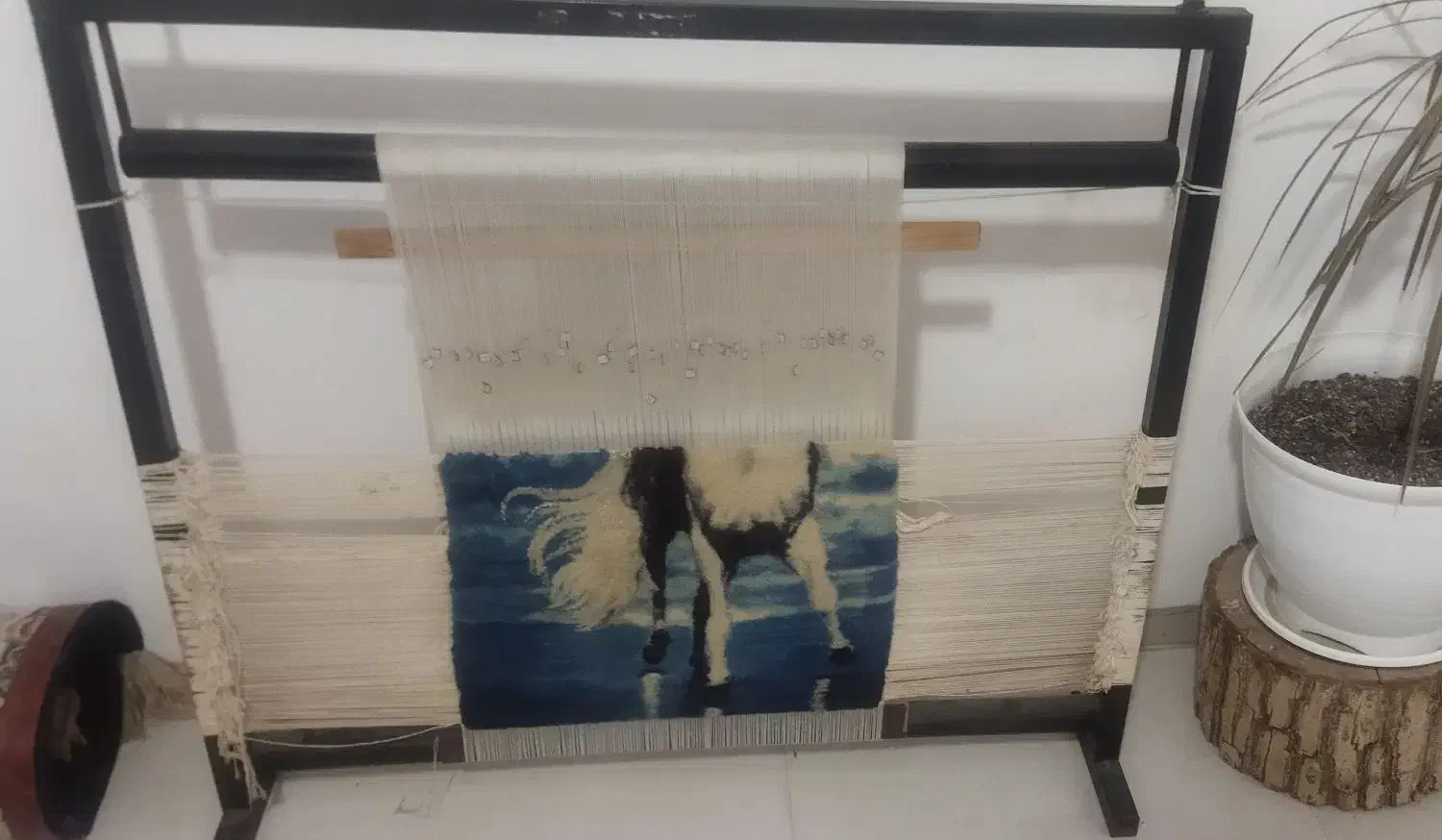 دو عدد دار تابلو فرش چله کشی آماده بافت|تابلو فرش|ساری, |دیوار