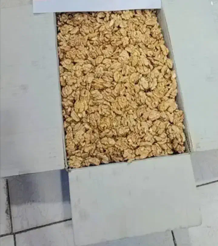 گردوی تویسرکان|عمدهفروشی|سوق, |دیوار