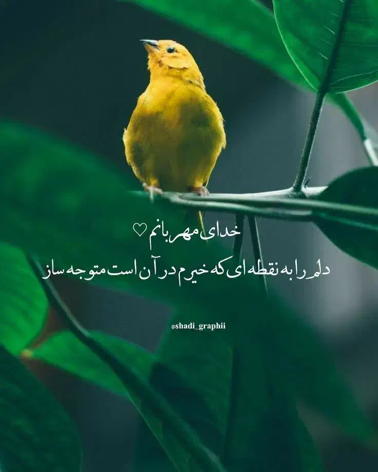 گمشده|اشیا|نیشابور, ناسیونال|دیوار