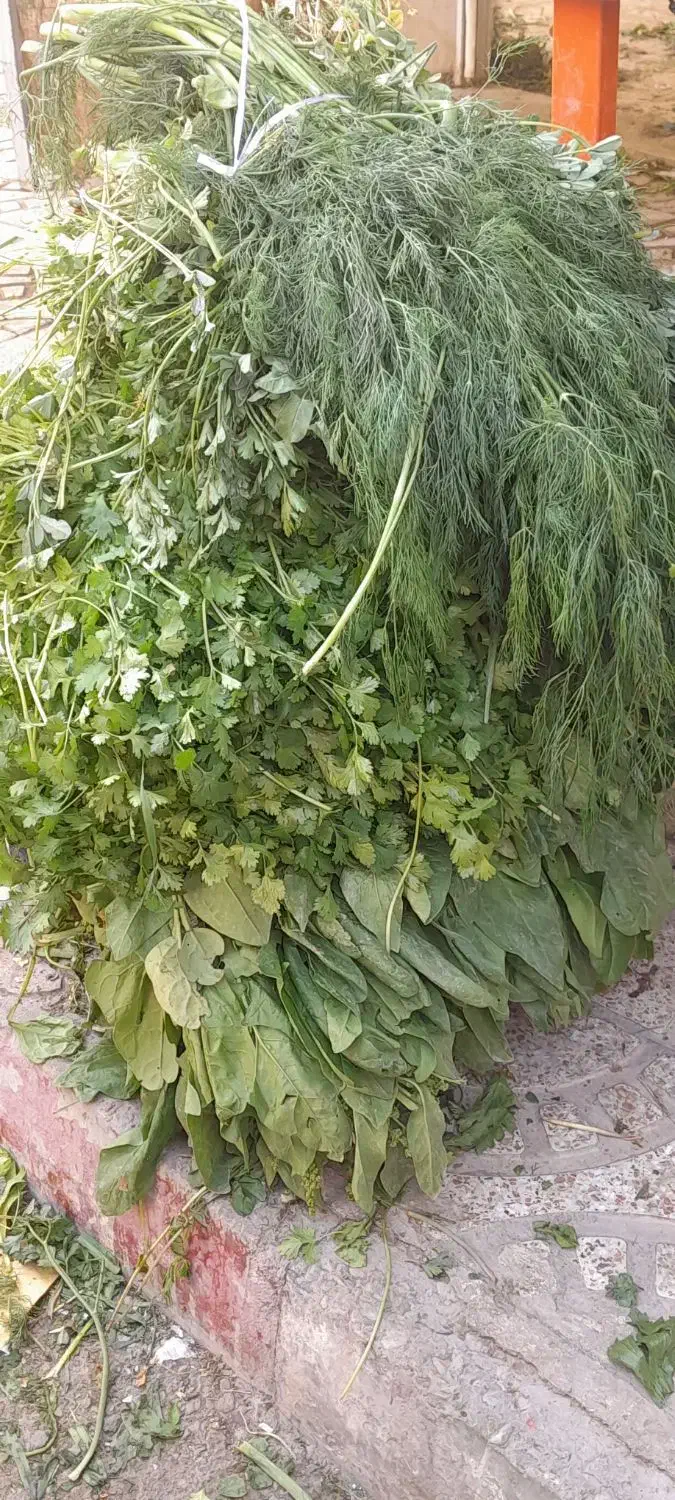 سبزیجات اماده|خوردنی و آشامیدنی|کنگاور, |دیوار