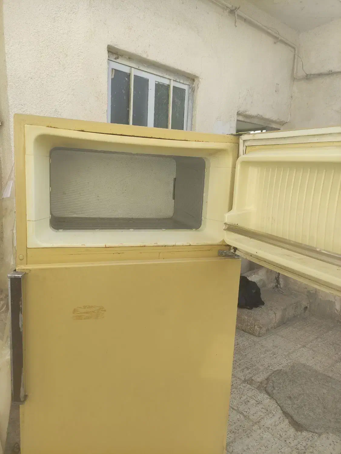 یخچال 12فوت بزرگ|یخچال و فریزر|مرودشت, بیست متری بیمارستان|دیوار