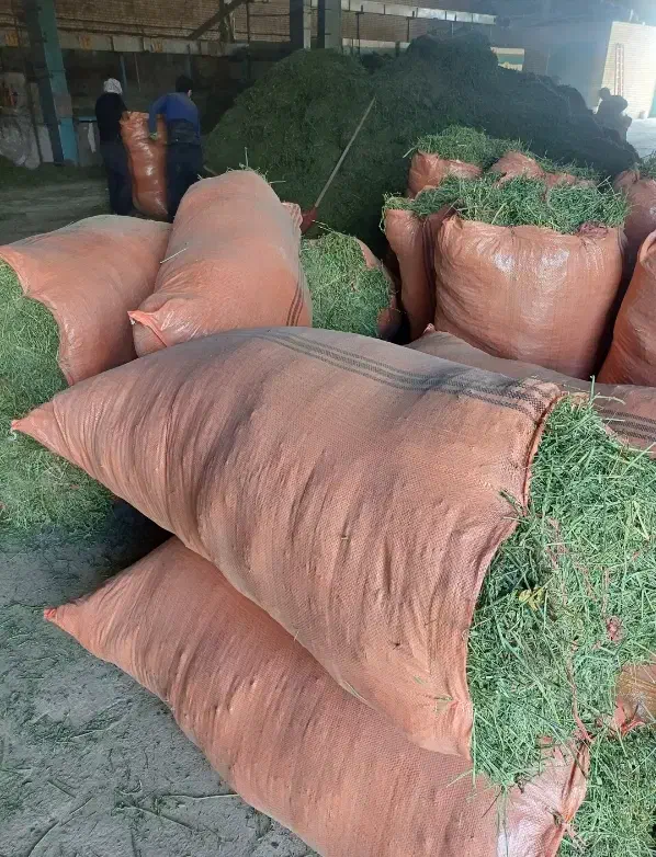 یونجه سبز|عمدهفروشی|مسجد سلیمان, |دیوار