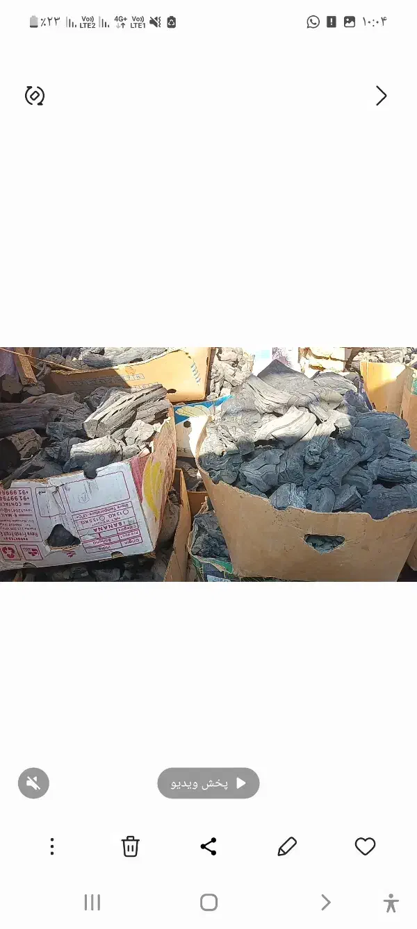 زغال انگور|عمده‌فروشی|تهران, سجاد|دیوار