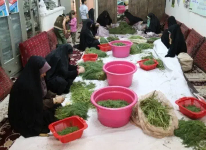 جویای کار در منزل|فعالیت داوطلبانه|تهران, جوادیه تهرانپارس|دیوار