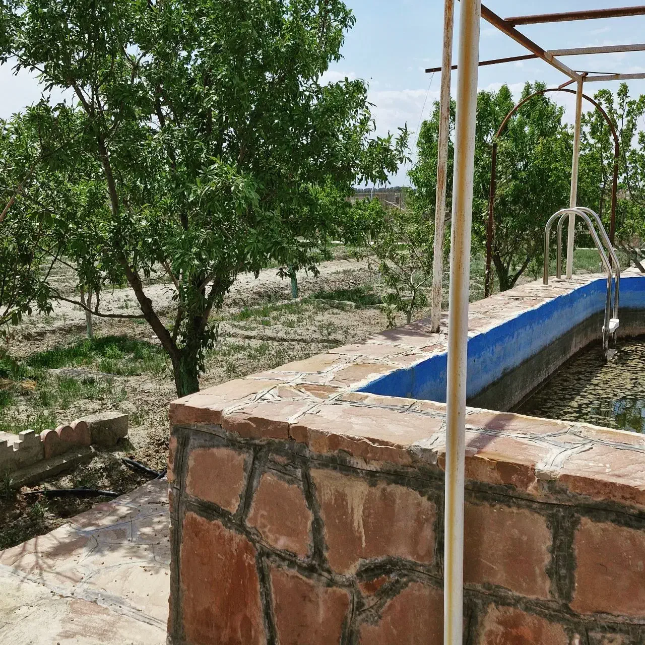 فروش ۲۰۰۰ متر باغ در چناران روستای حیطه طلا|فروش خانه و ویلا|گلبهار, نوبهار|دیوار