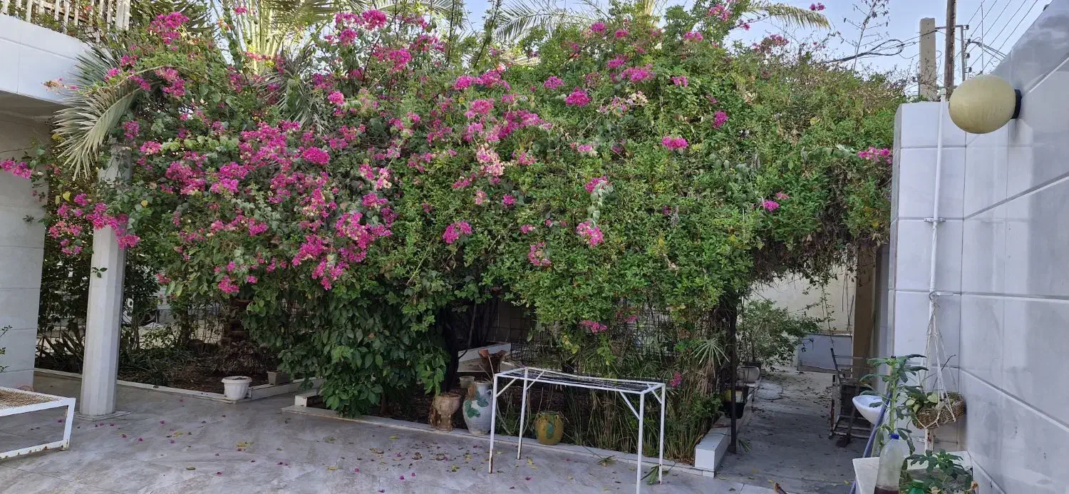 کاشت گل و‌گیاه|خدمات باغبانی و درختکاری|رامهرمز, |دیوار