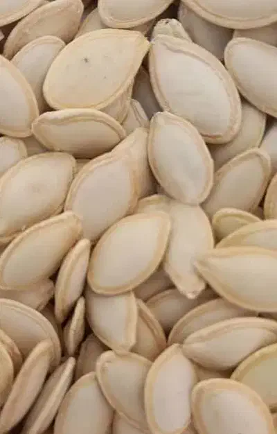 تخمه کدو خام امسالی تازه مال سرحد|خوردنی و آشامیدنی|شیراز, شهرک ایثار|دیوار