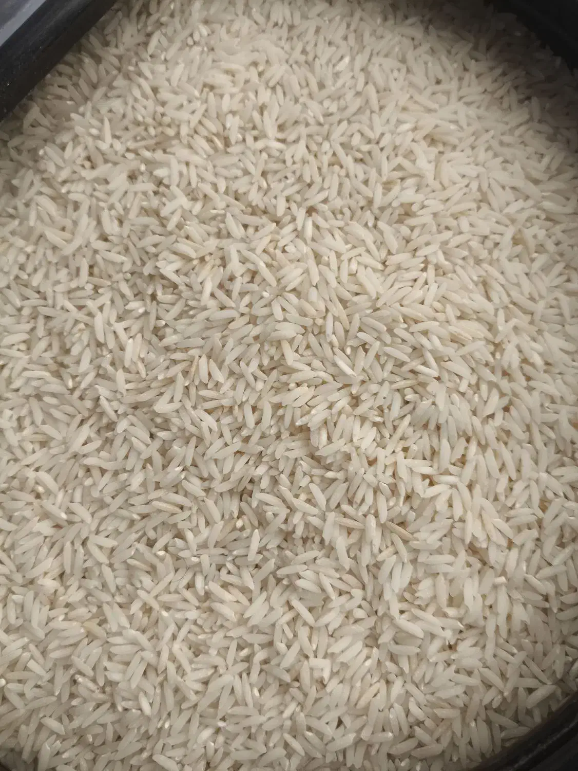 برنج هاشمی سورتینگ شده|خوردنی و آشامیدنی|رضوانشهر, |دیوار