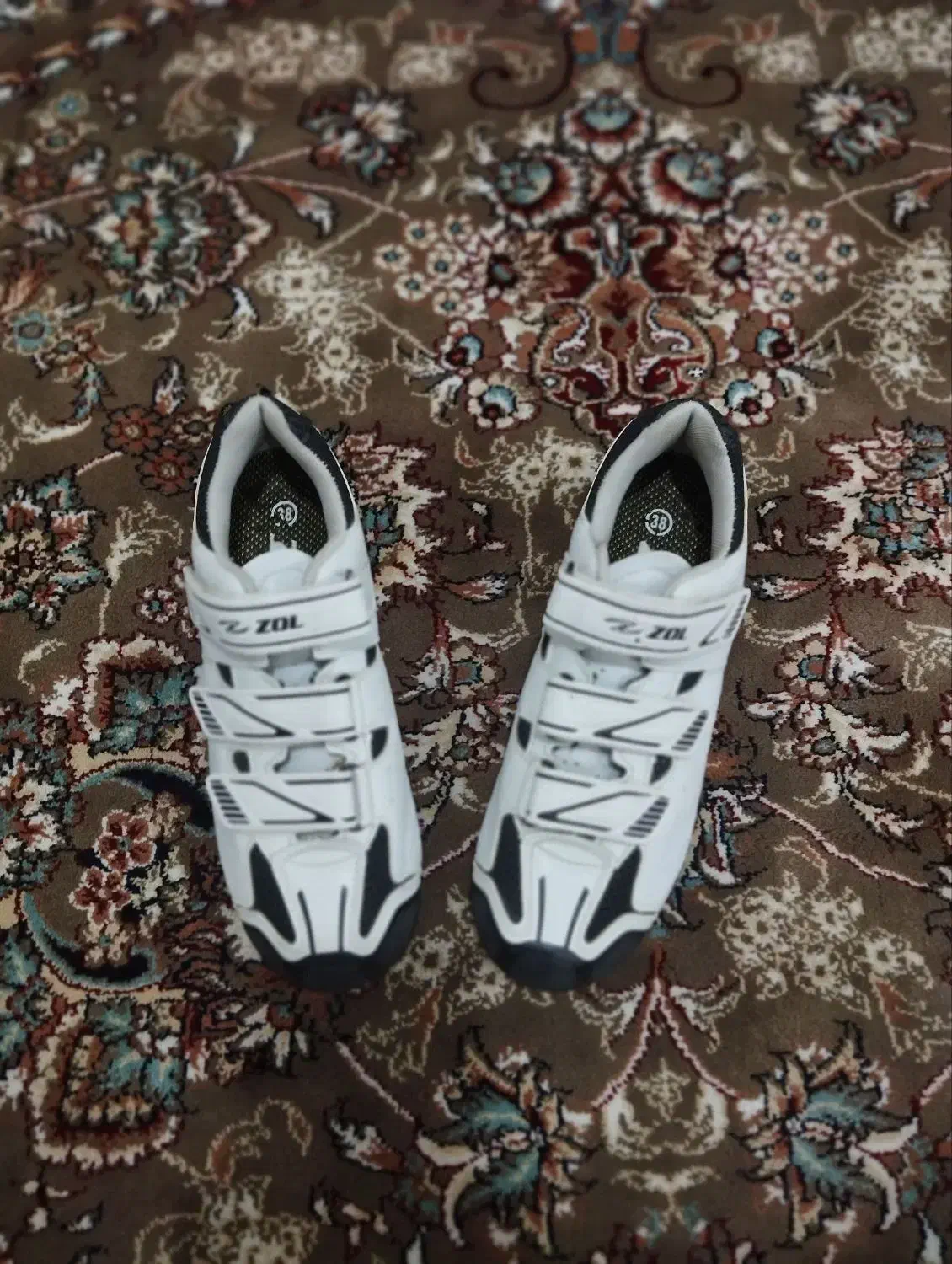 کفش دوچرخه|کیف، کفش، کمربند|بانه, |دیوار