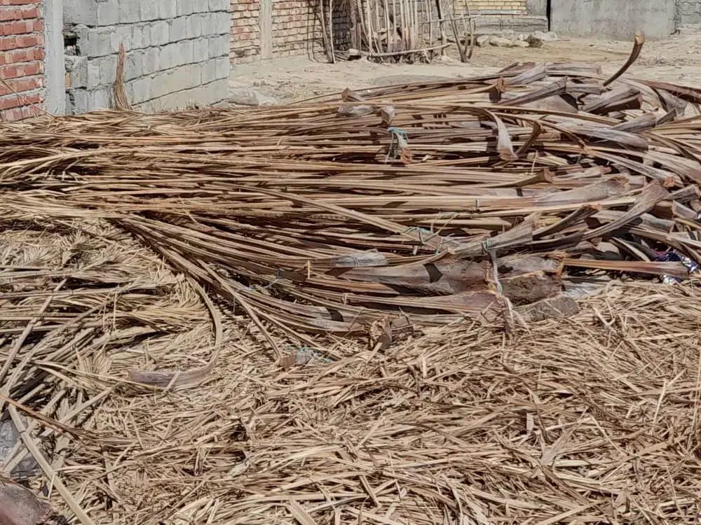 شاک برای کشت خیار|گل و گیاه طبیعی|کهنوج, |دیوار