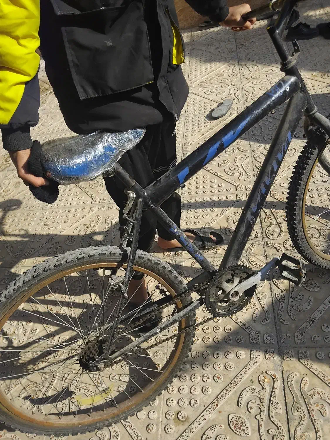 دوچرخه ۲۶|دوچرخه، اسکیت، اسکوتر|مرودشت, ژیان|دیوار