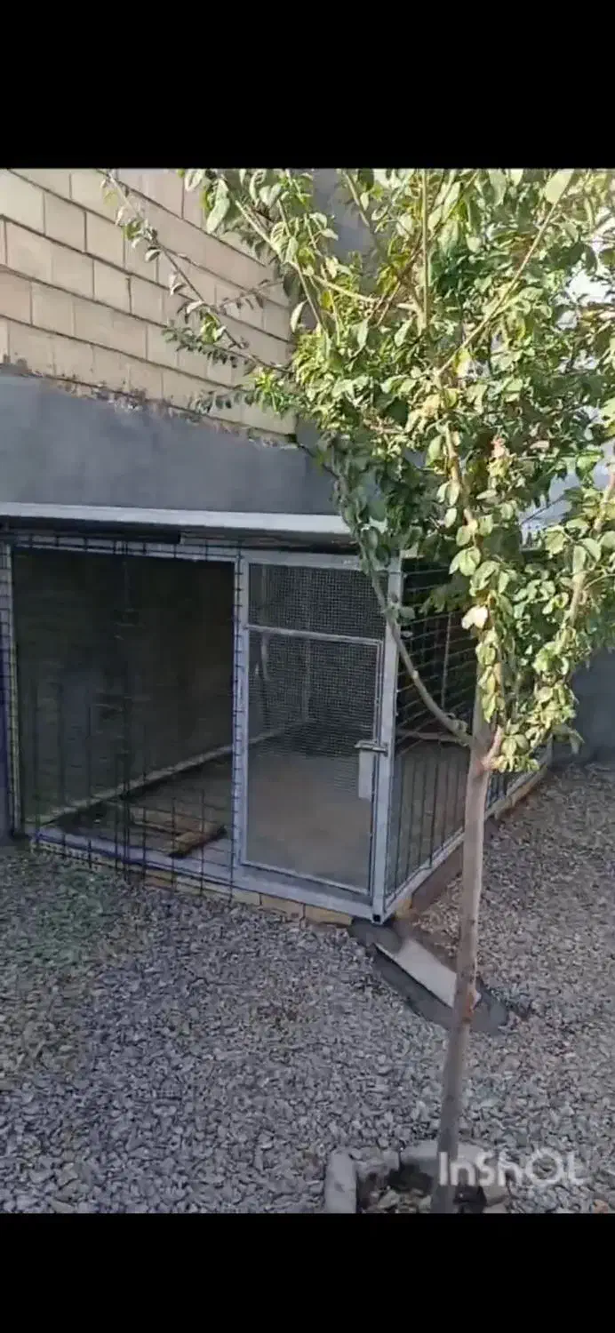 قفس حیوانات 2در3 ارتفاع 1.5|لوازم جانبی حیوانات|رضویه, |دیوار