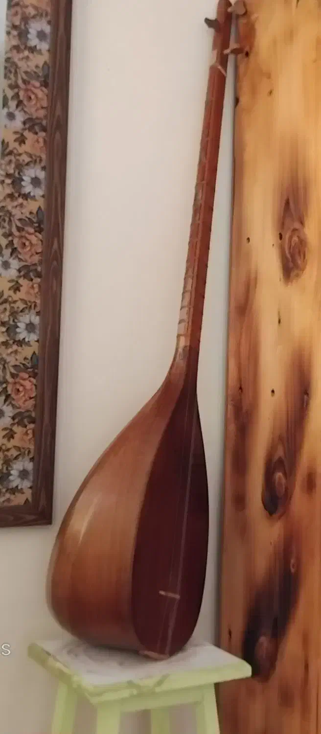 تنبور مفاخری|سازهای سنتی|هشتگرد, گلسار|دیوار