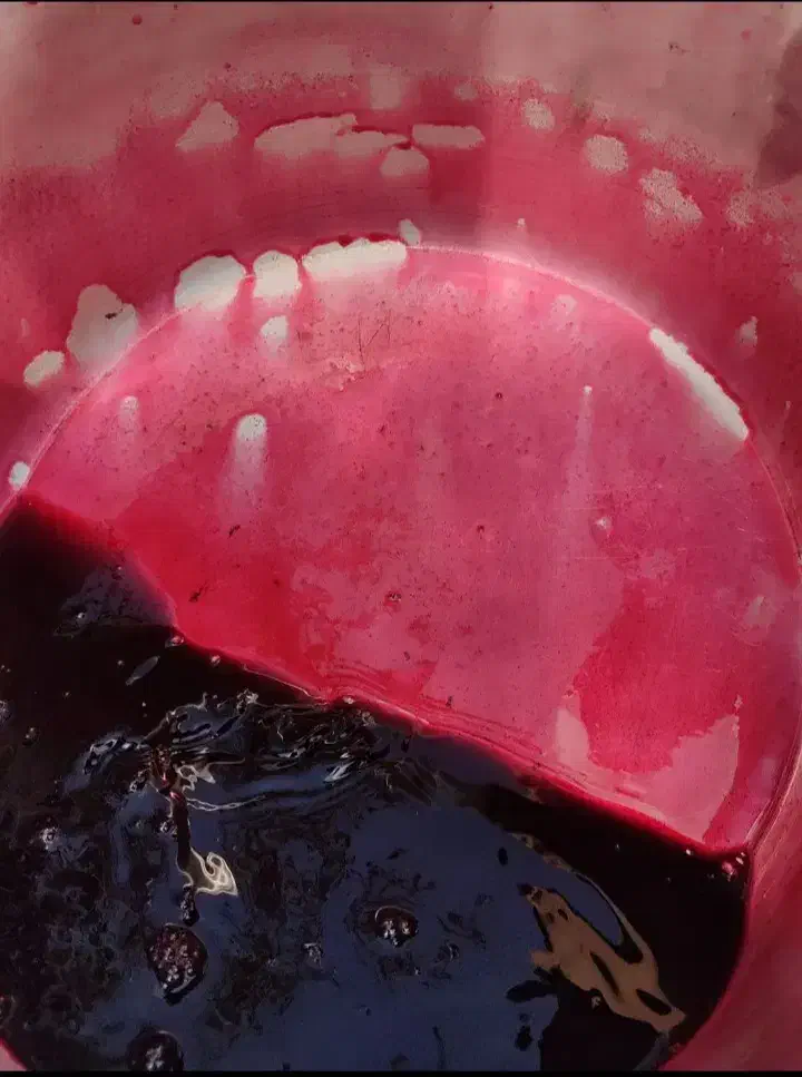 زرشک وآب زرشک کوهی تازه غلیظ وباکیفیت|خوردنی و آشامیدنی|سمنان, |دیوار