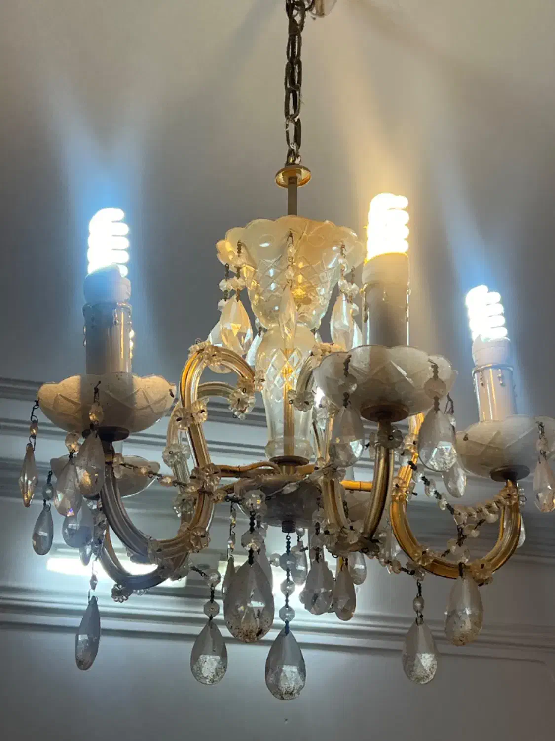 لوستر|لوستر و چراغ آویز|زاهدان, |دیوار