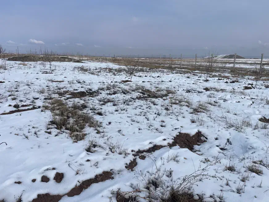 باغ زمین ۳۷۰۰ متری|فروش زمین و ملک کلنگی|قره قوین, |دیوار