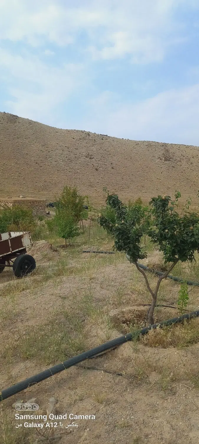 تصویر 8
