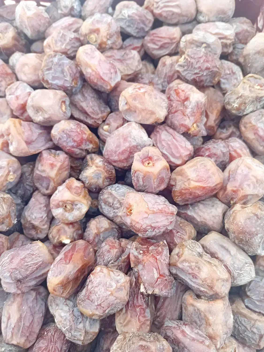 خرمای مرداسنگ|خوردنی و آشامیدنی|فاریاب, |دیوار