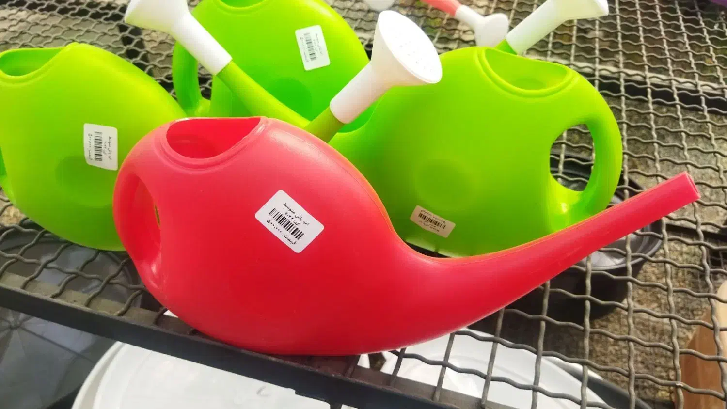 فروش انواع گلهای آپارتمانی و ملزومات|گل و گیاه طبیعی|ورامین, ورامین|دیوار