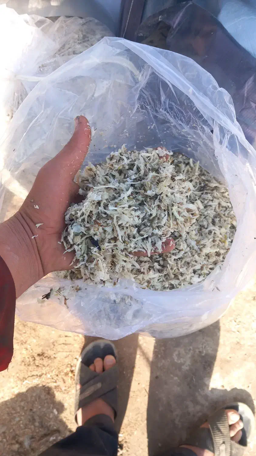 فروش تفاله چغندر،وتفاله سیب|حیوانات مزرعه|چهاربرج, |دیوار