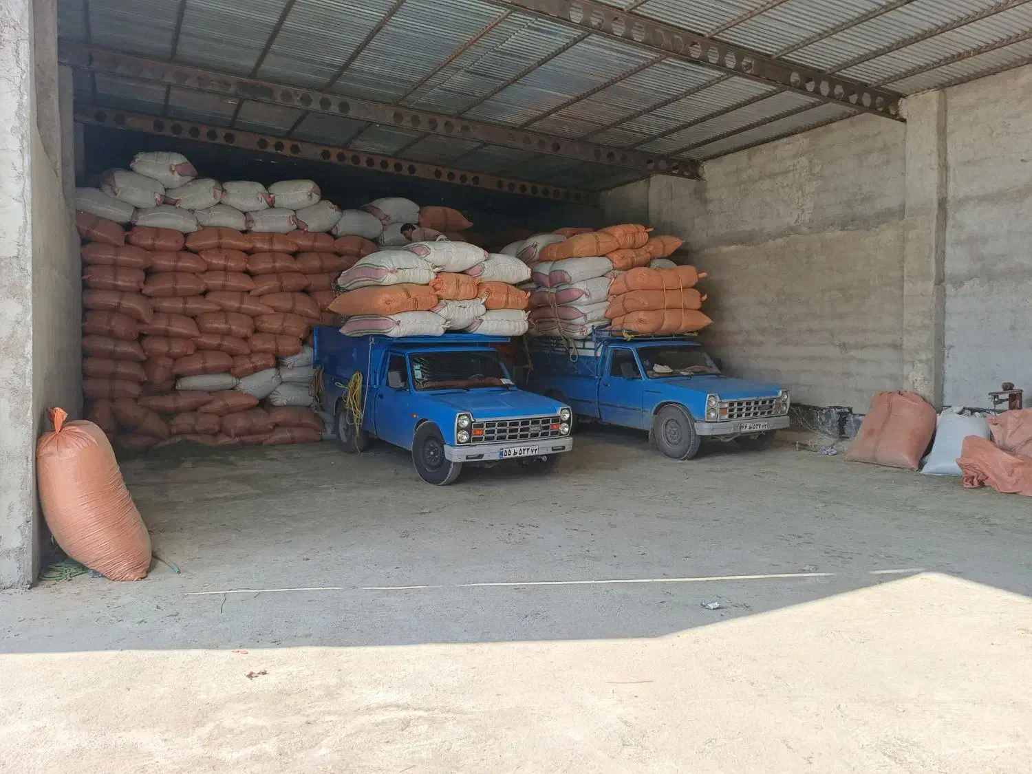 یونجه درجه یک|حیوانات مزرعه|فیروزآباد (فارس), |دیوار