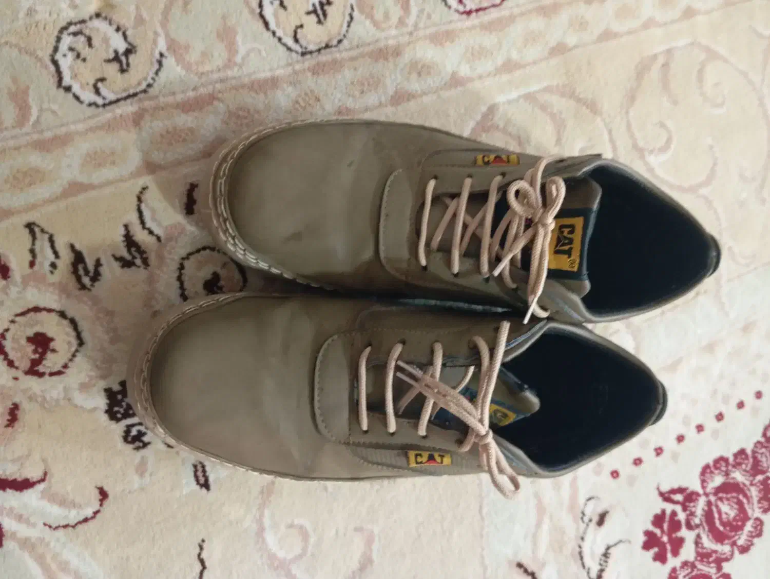 کفش نو|کیف، کفش، کمربند|جلفا, |دیوار