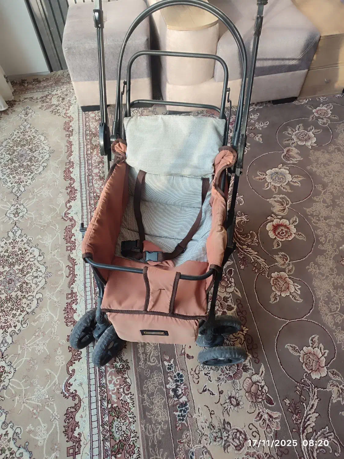 کالسکه دلیجان|کالسکه و لوازم جانبی|اصفهان, جنیران (لادان)|دیوار