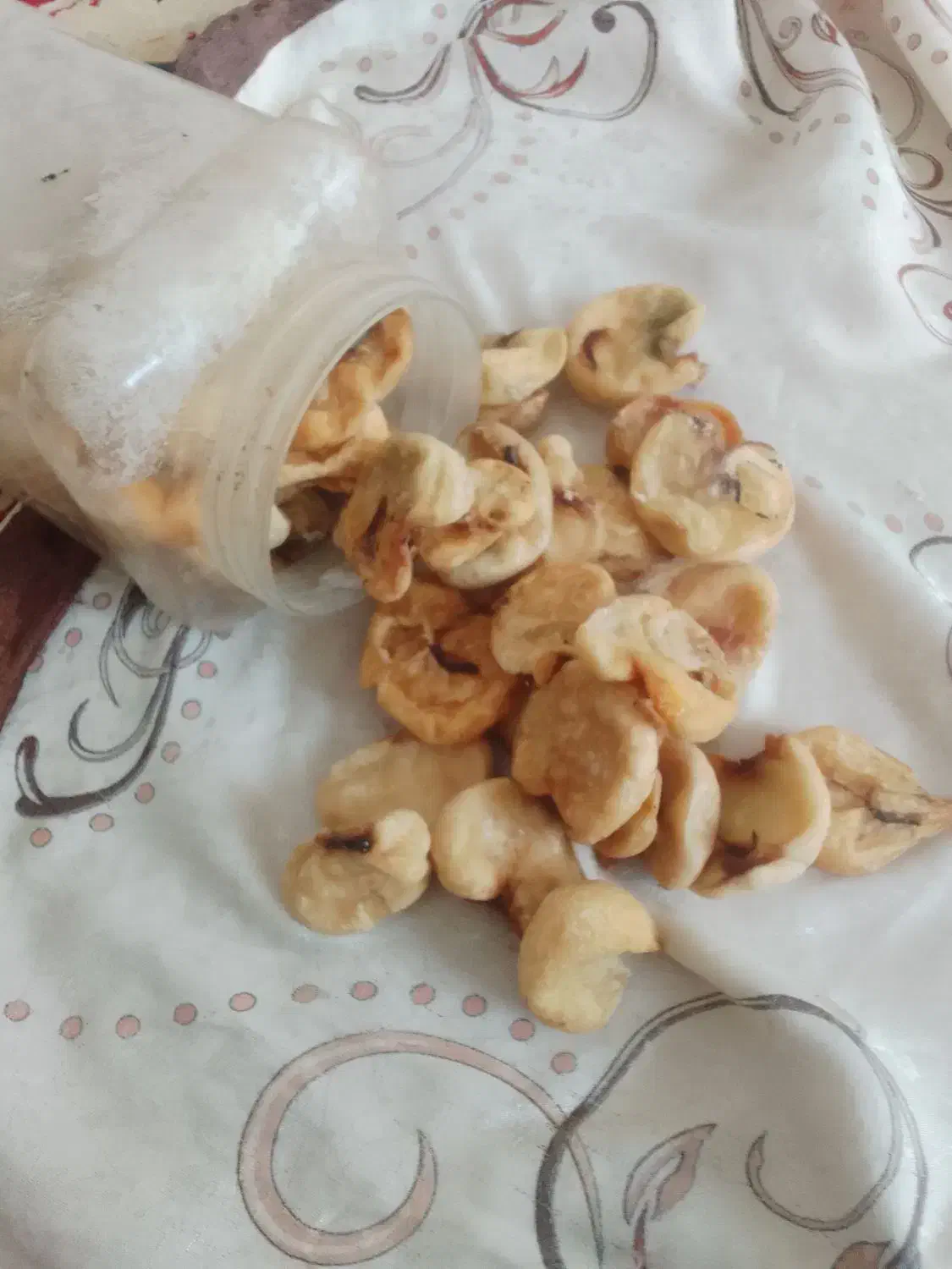 فروش مایه ی خرگوش|موش و خرگوش|سبزوار, کهنه آب|دیوار