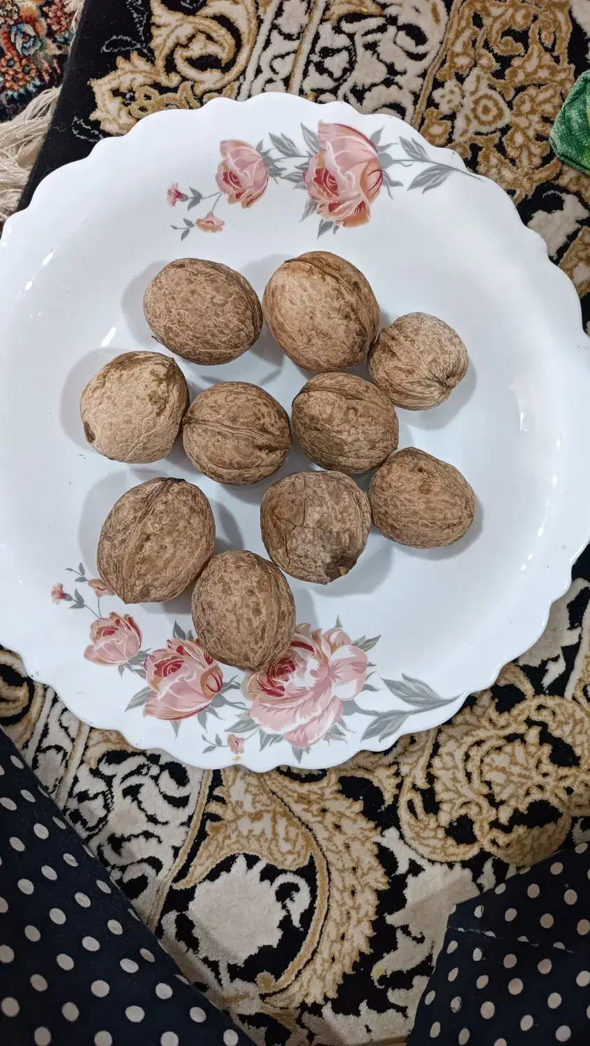 حراج گردوی ناب الشتر لرستان ...|خوردنی و آشامیدنی|قم, عمار یاسر|دیوار