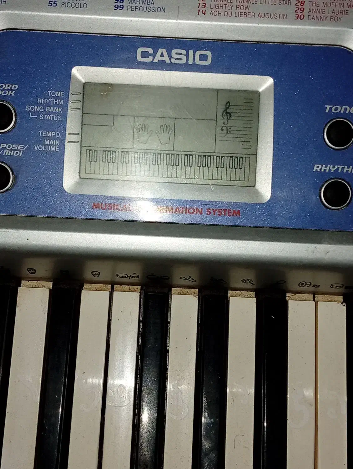 کیبورد و ارگ|پیانو، کیبورد، آکاردئون|نوشهر, |دیوار