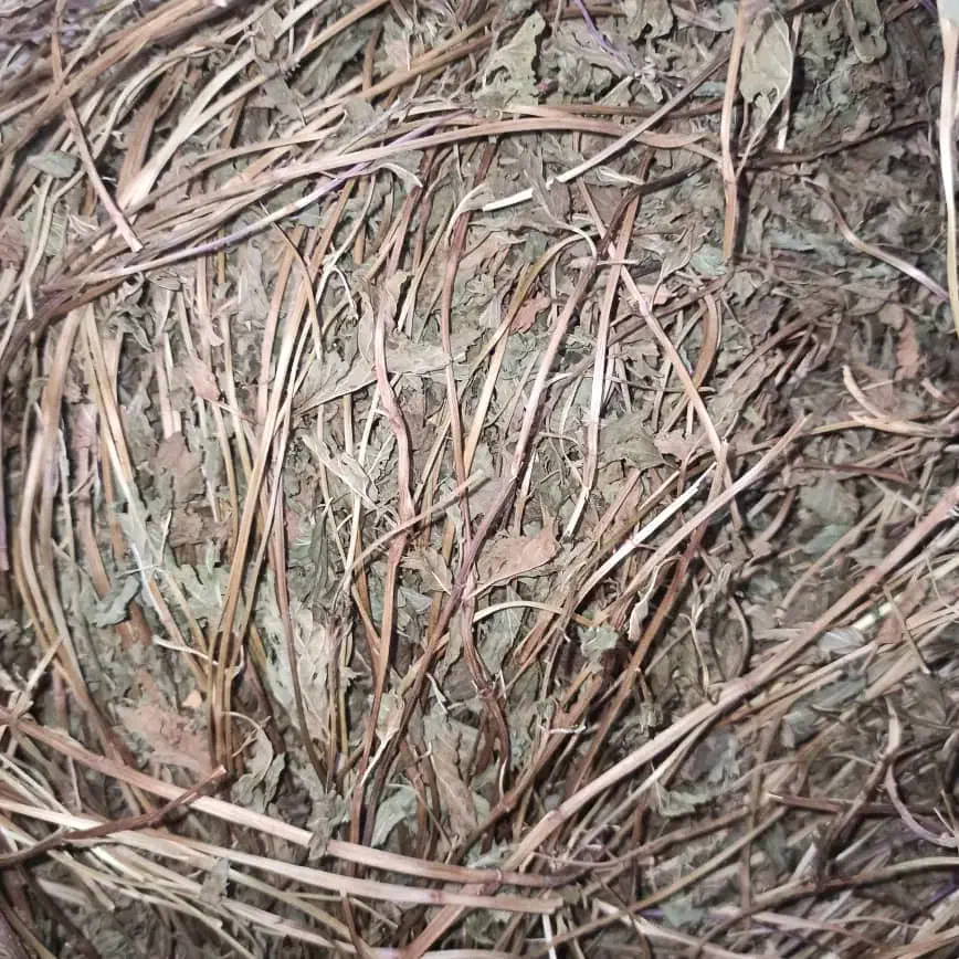 نعناع فلفلی عمده|عمده‌فروشی|مرند, |دیوار