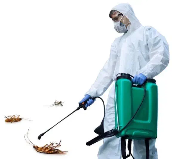 سمپاشی علیه حشرات  تضمینی|خدمات نظافت|بندرعباس, |دیوار