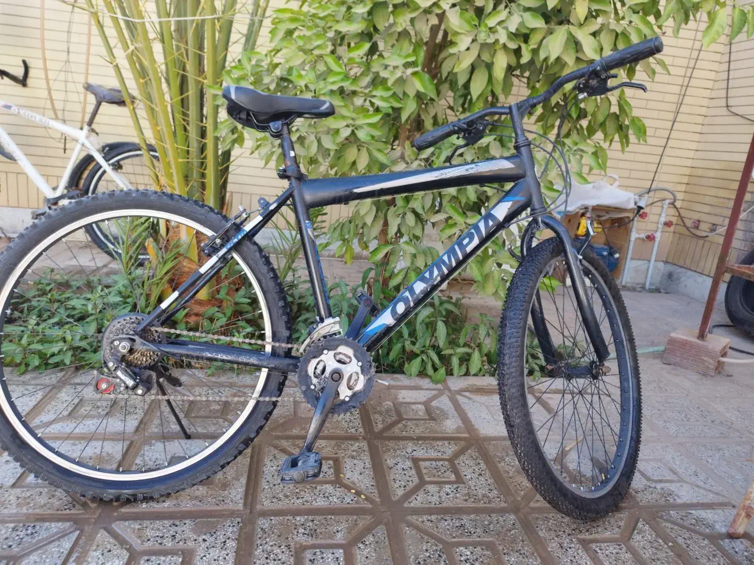 دو عدد دوچرخه فروشی|دوچرخه، اسکیت، اسکوتر|طبس, |دیوار