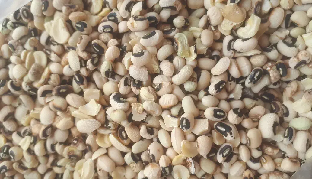 لوبیا چشم بلبلی|عمدهفروشی|کوهدشت, |دیوار