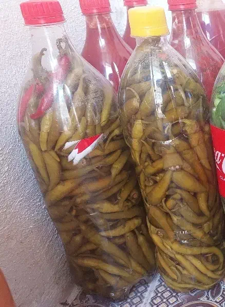 فلفل تند|خوردنی و آشامیدنی|آذرشهر, |دیوار
