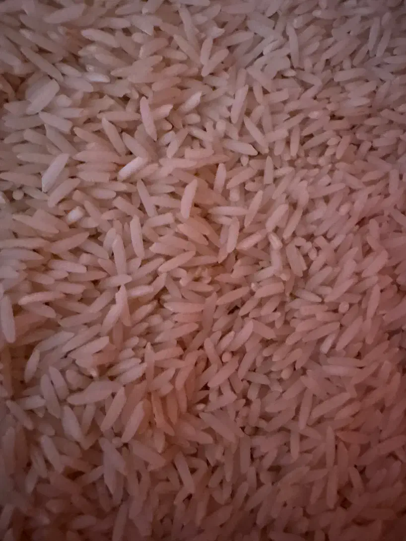 برنج صدری دم سیاه سوزنی کوچصفهان|خوردنی و آشامیدنی|کوچصفهان, |دیوار