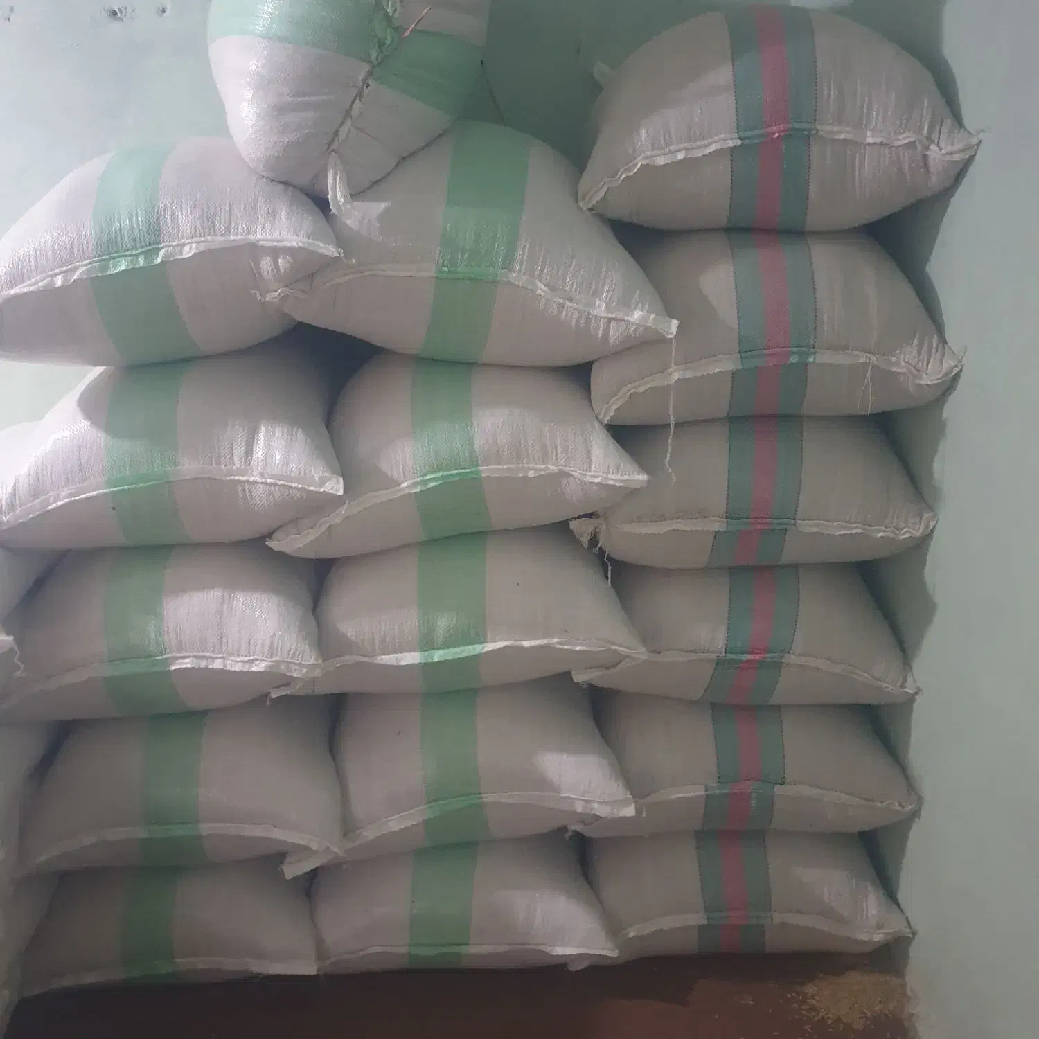 سلام بزرشالی فجر وندا ۶کیسه ندار ۵کیسه فجر|عمده‌فروشی|آق قلا, |دیوار