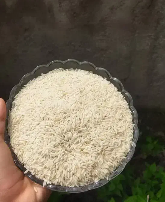 فروش برنج هاشمی معطر و خوشبخت ، سنتی و درجه یک|خوردنی و آشامیدنی|لاهیجان, لیل|دیوار