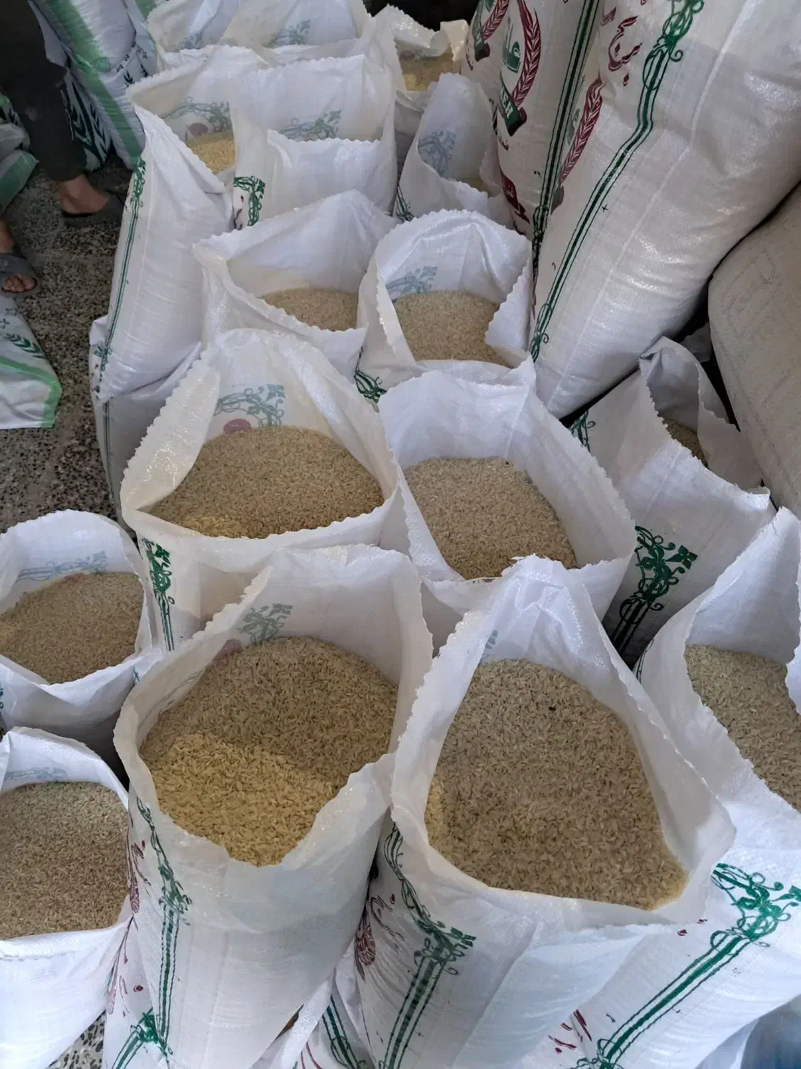 برنج لنجان اعلا کاشت امسال|خوردنی و آشامیدنی|اصفهان, بوستان زاینده رود|دیوار