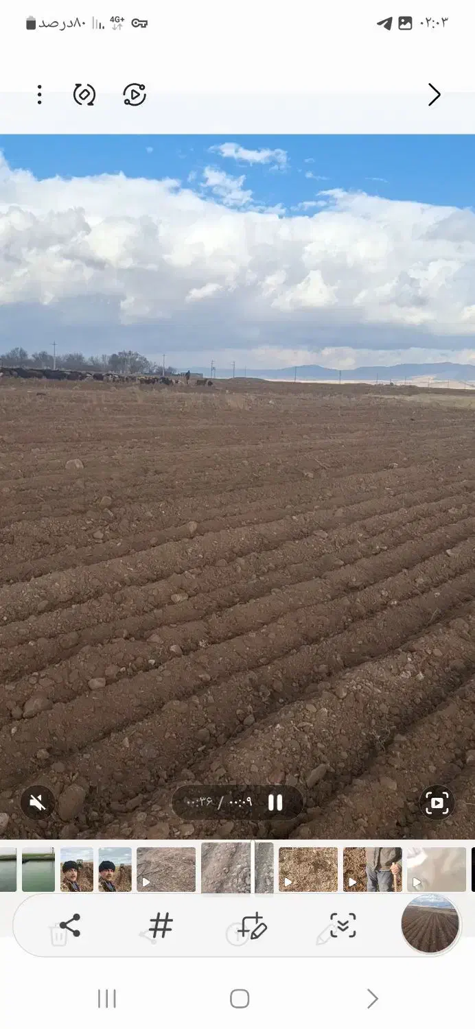 اجاره زمین کشاورزی|اجارهٔ دفتر صنعتی، کشاورزی، تجاری|قره پشتلو, |دیوار