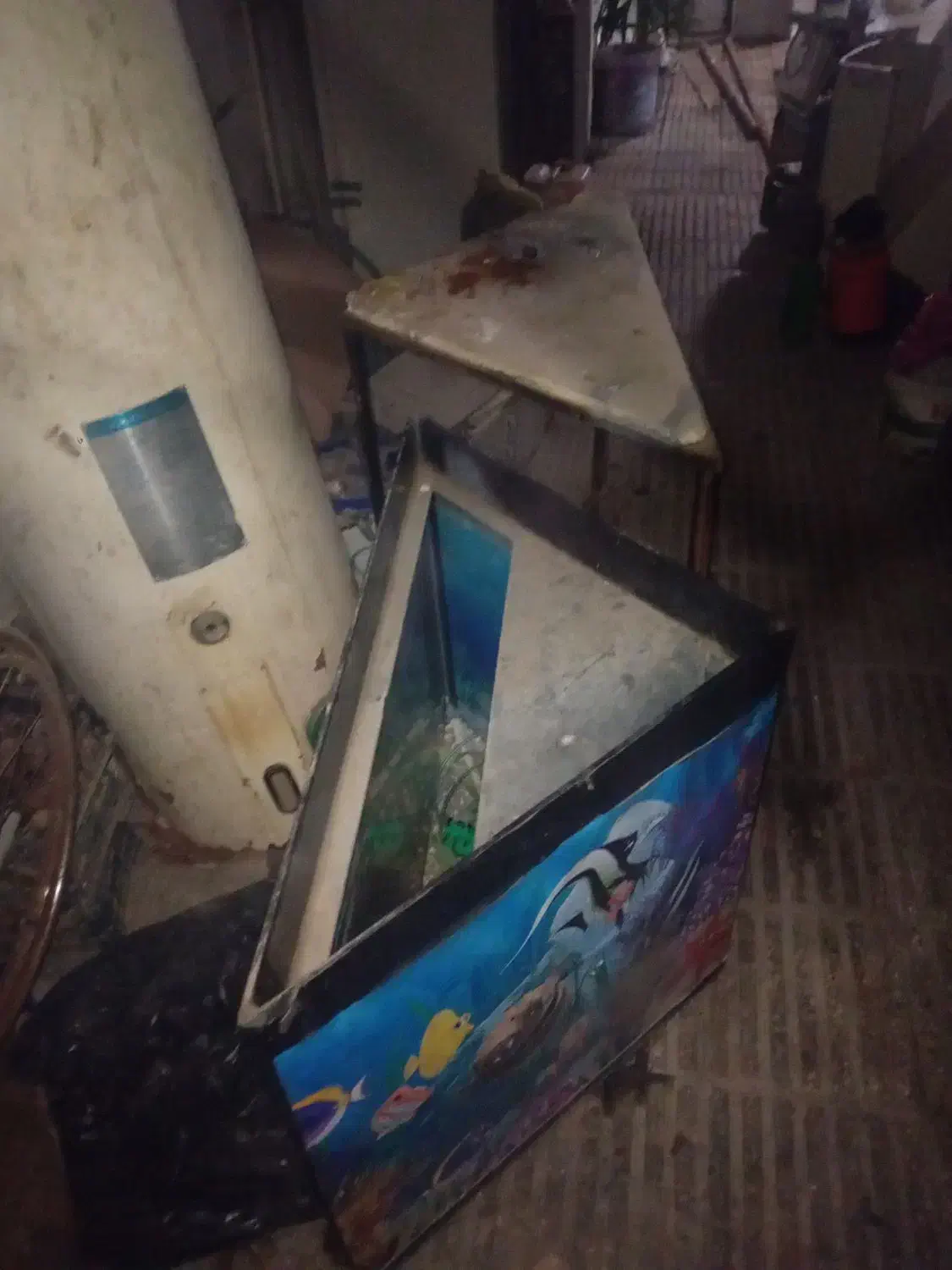 اکواریوم|ماهی|گرگان, |دیوار