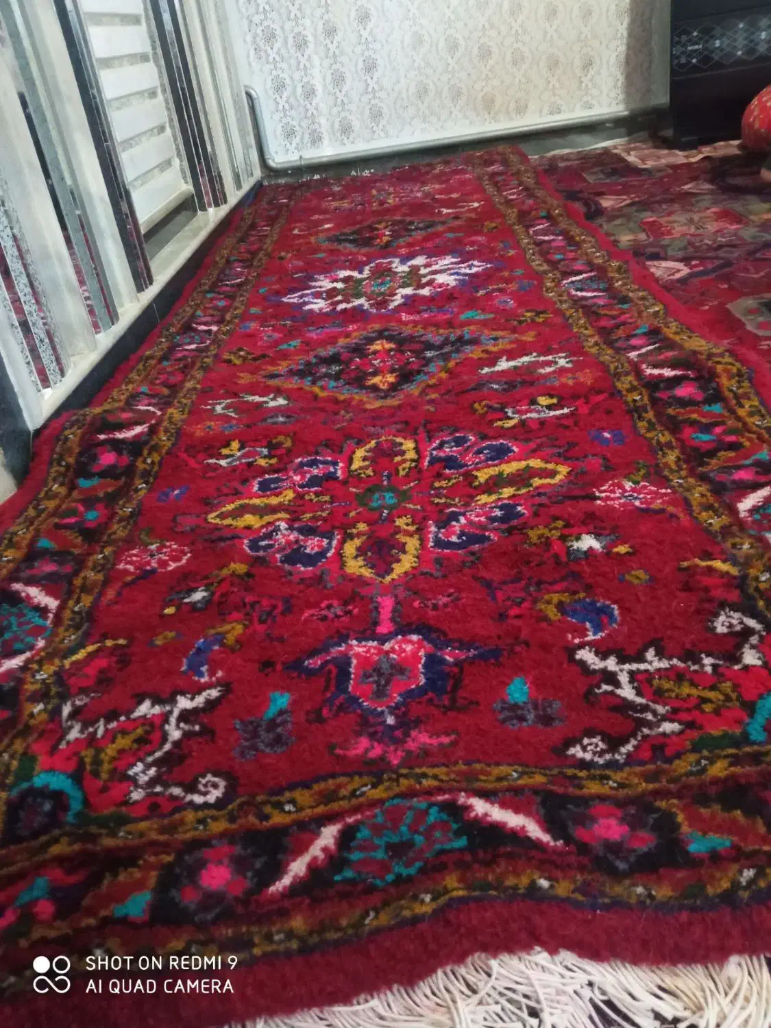 فرش دست بافت تازه|فرش|اهر, |دیوار