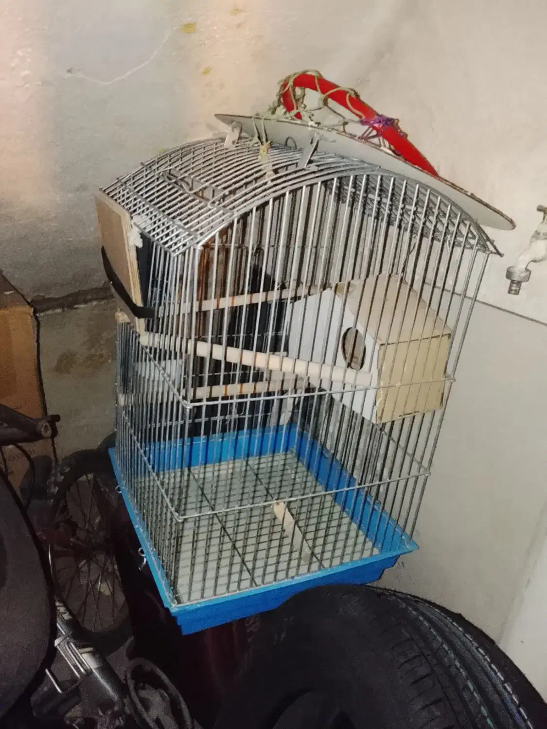 قفس عروس هلندی  از جنس محکم قدیمی|لوازم جانبی حیوانات|تهران, قزل قلعه|دیوار