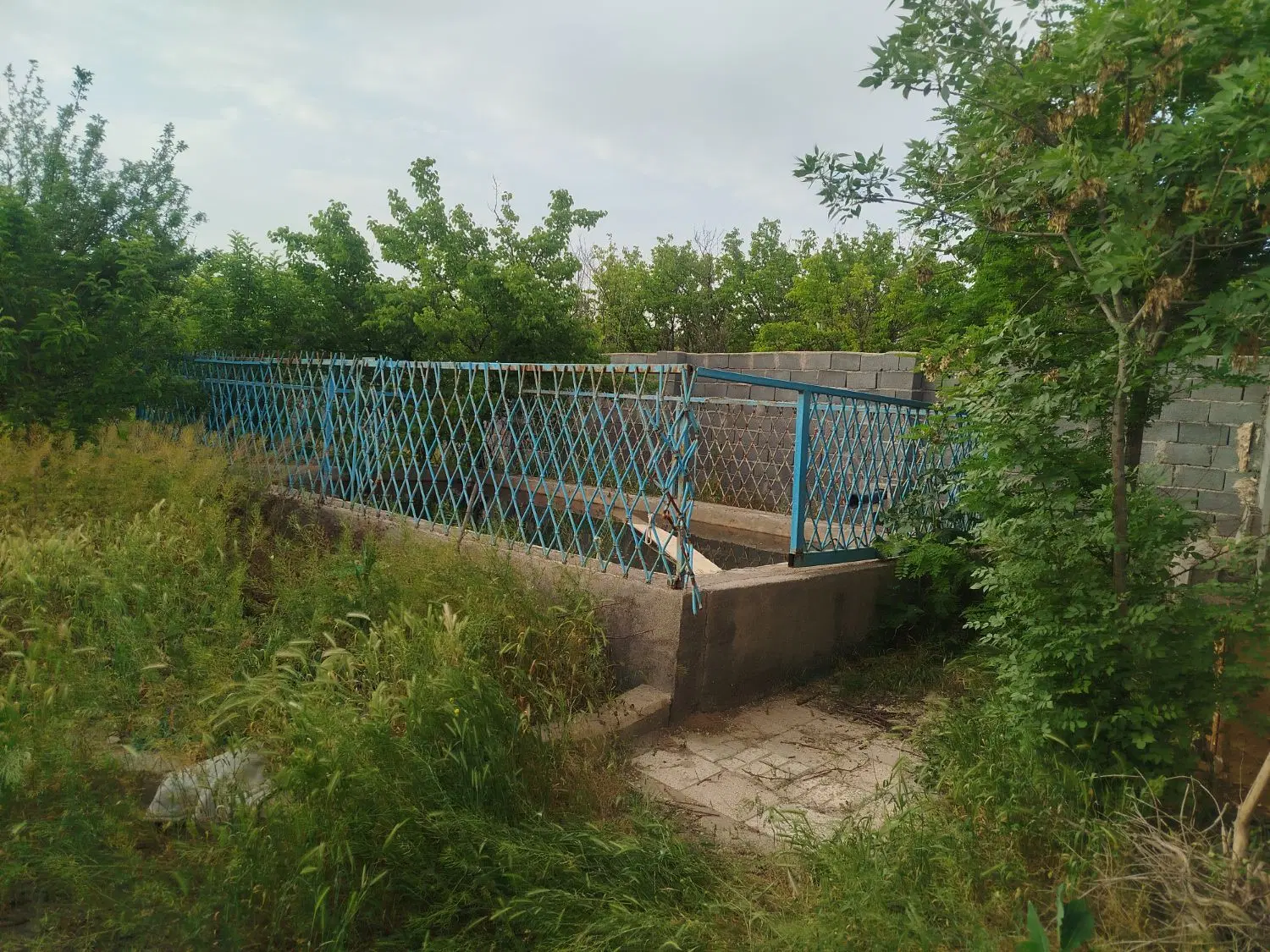 تصویر 2