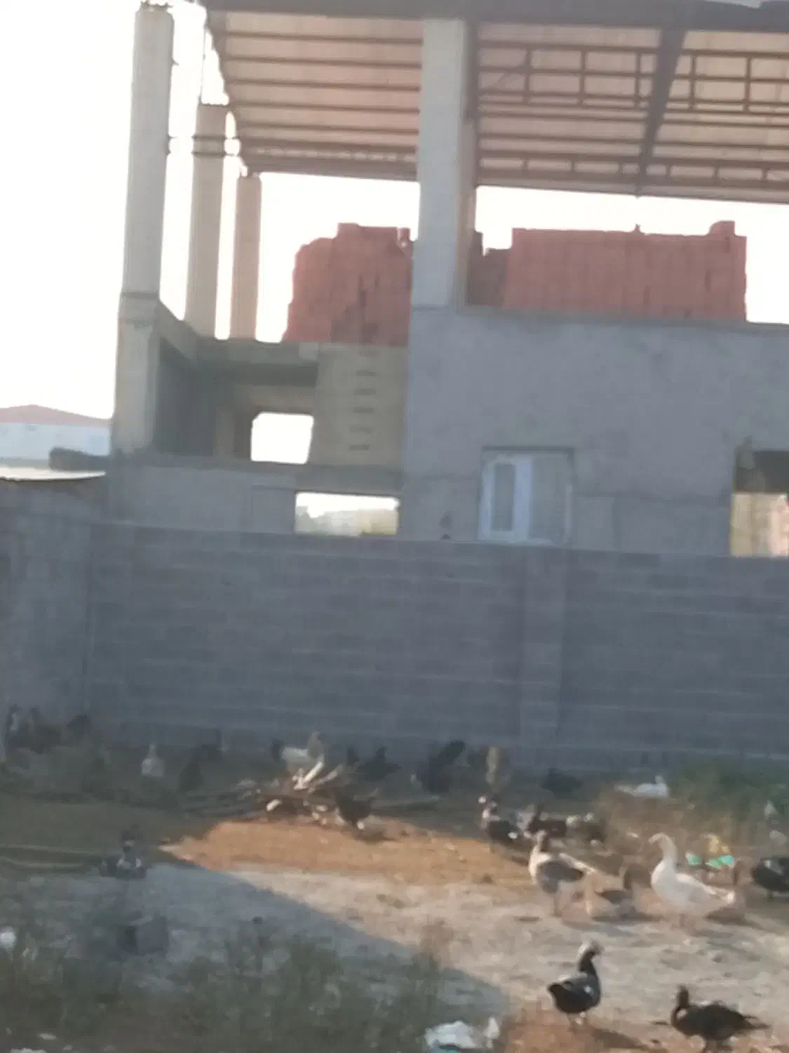 بنایی ساختمان از صفر تا صد|خدمات پیشه و مهارت|بابکان, |دیوار