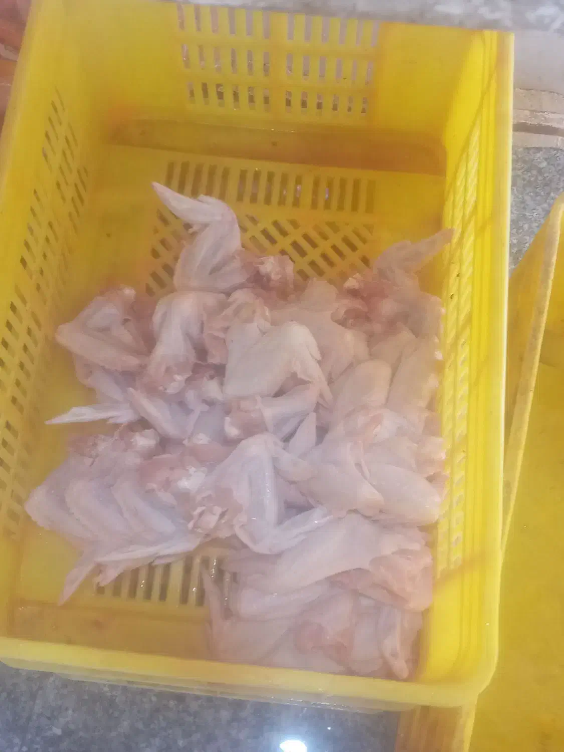 بال.و.کتف|خوردنی و آشامیدنی|کرمانشاه, |دیوار